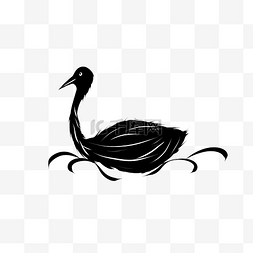 水里鸭子图片_黑色鸭子纹身