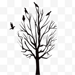 树杈树叶图片_停留在树枝上的鸟