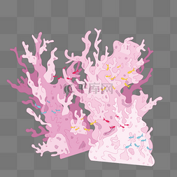 粉色珊瑚图片_海洋粉色珊瑚