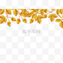 金色树叶叶子顶边