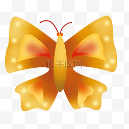 唯美的蝴蝶装饰图片_橙色精美的蝴蝶插图