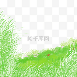 大树草坪图片_绿色草坪草地草原山坡