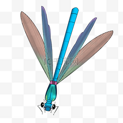 卡通昆虫蜻蜓插画