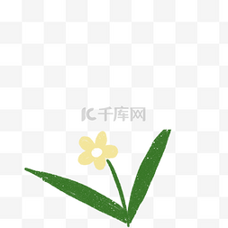 黄色的鲜花免抠图