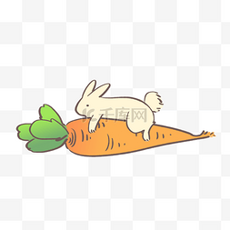 动物生肖兔子胡萝卜