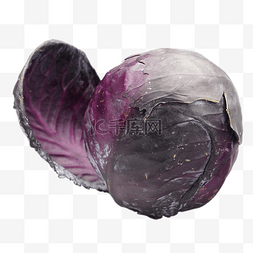 紫甘蓝卷心菜