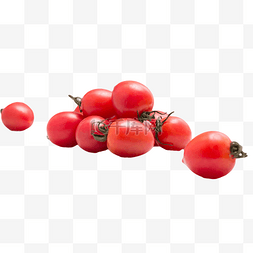 小西红柿图片_圣女果小西红柿