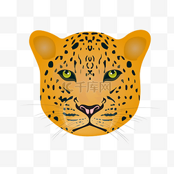 动物豹子头图片_黄色的豹子头