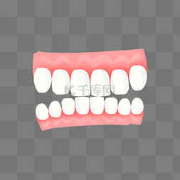 白色的牙图片_人体器官整齐的牙