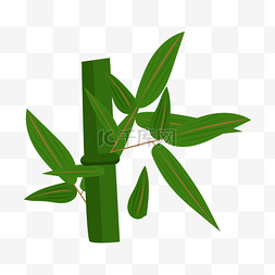 绿色植物竹子叶子