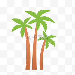 椰子树树木图片_热带植物子树