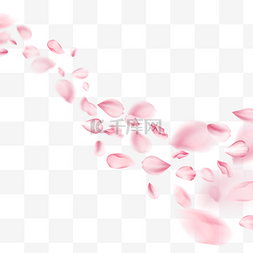 一束飘落的粉色樱花花瓣