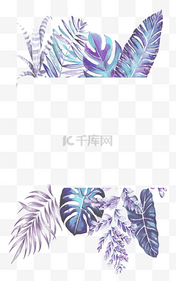 雅致花图片_植物边框紫色龟背竹