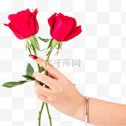 玫瑰女神节图片_女神节手持玫瑰送花