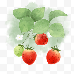 水彩水果矢量素材图片_水彩草莓
