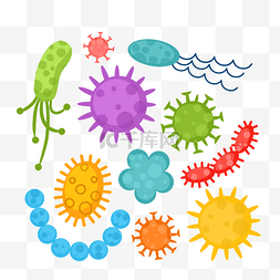 细菌病毒微生物图片_细菌病毒微生物冠状病毒感染插图