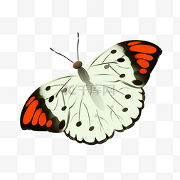 白色创意蝴蝶元素图片_卡通创意蝴蝶插图