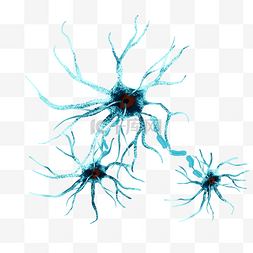 神经外壳图片_蓝色神经元