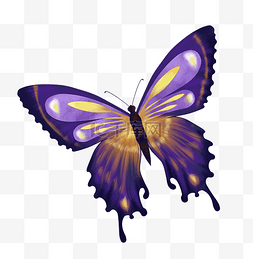 鲜艳紫色图片_鲜艳紫色蝴蝶