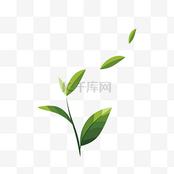 嫩绿的茶叶图片_矢量茶叶