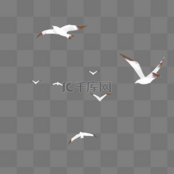 动物免抠图素材图片_白色的海鸥免抠图