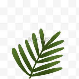 绿色的植物枝条免抠图