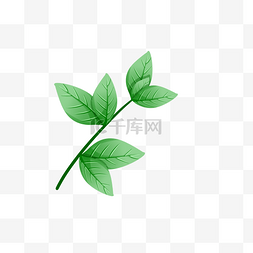 叶片手绘图片_绿色植物叶子手绘茶叶透明底免抠