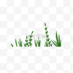小绿草图片_一堆小草