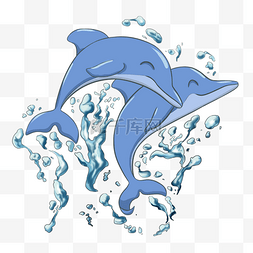 蓝色海洋海豚图片_跳舞蓝色海洋海豚