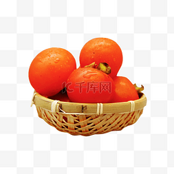 硬柿子图片_柿子水果