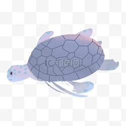 灰色圆弧创意海龟元素