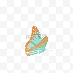 昆虫插画图片_漂亮的蝴蝶免抠图