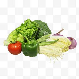 图片_农产品蔬菜组合