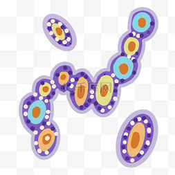 紫色的卵形卡通细菌