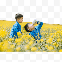 春分童趣图片_男孩在油菜花田玩耍