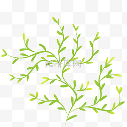 清新花纹装饰图片_卡通绿色植物藤蔓