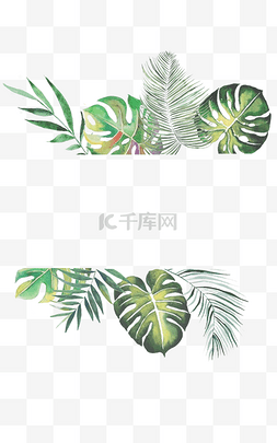 植物夏天装饰边框绿叶
