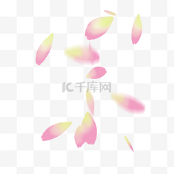 粉色花瓣漂浮素材图片_粉色花瓣飞舞