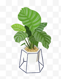 植物手绘广告设计插画设计
