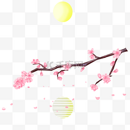 日本樱花植物图片_日本樱花装饰插画
