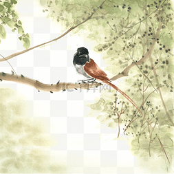 春天的小鸟水墨画PNG免抠素材