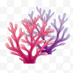 海洋珊瑚卡通图片_夏天海洋珊瑚粉色