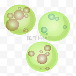 绿色的细菌图片_绿色的圆形病毒插画
