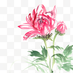 中国风水墨画素材图片_绽放的红花