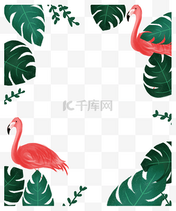 夏天绿植边框图片_夏日火烈鸟绿植树叶插画边框