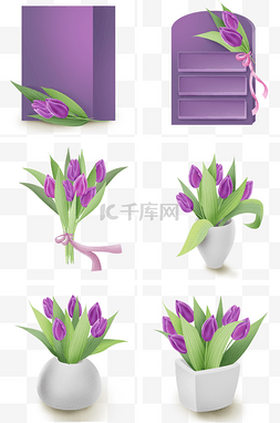 紫色郁金香盆栽和文字框