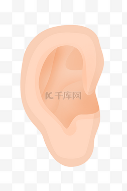 人体器官耳朵图片_耳鸣耳朵五官插画