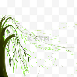 绿色清新春季图片_卡通绿色的柳树