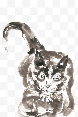 手绘写实宠物图片_翘尾巴的小猫水墨画PNG免抠素材