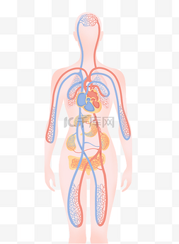 垃圾桶系统图标图片_人体血液系统循环